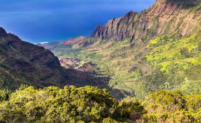 View of the valley and ocean from the Kalalau Lookout