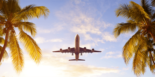 Plane with Palm Trees
